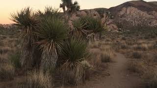 Boards of Canada Telepath