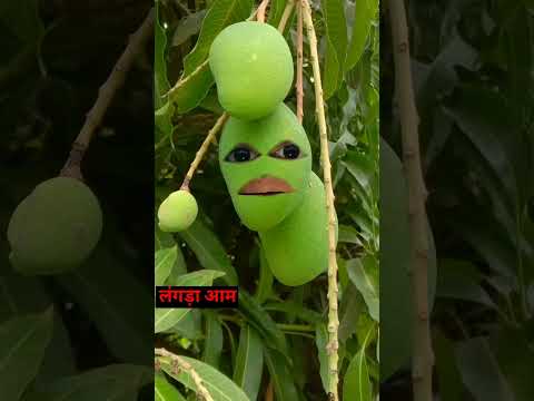 # अरे दयाद  लंगड़ा/ आम क्या🤔 आम🥱 की सीन है # दम है तो_ हांसी😃 रोक कर दिखाओ 🤫# Bhojpuri comedy shorts