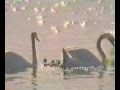 Naturkomposition Videoclip / My Little One - Herbie Mann Quintet with Double String Quartet