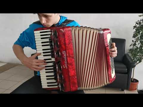 Accordion Scandalli Brevetto Polifonico 120 bass LMMH - Test 3