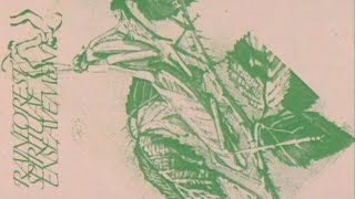 Rainforest Spiritual Enslavement - Skull Covered In Moss