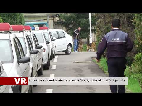 Cursă periculoasă la Aluniș: mașină furată, șofer băut și fără permis
