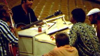 Their hearts were full of spring-the Beach Boys (Lei'd in Hawaii)