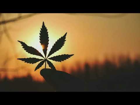 Argot Retro - Travka