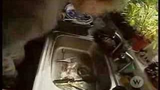 How Clean Is Your House - Hippy Valerie Revisited 1