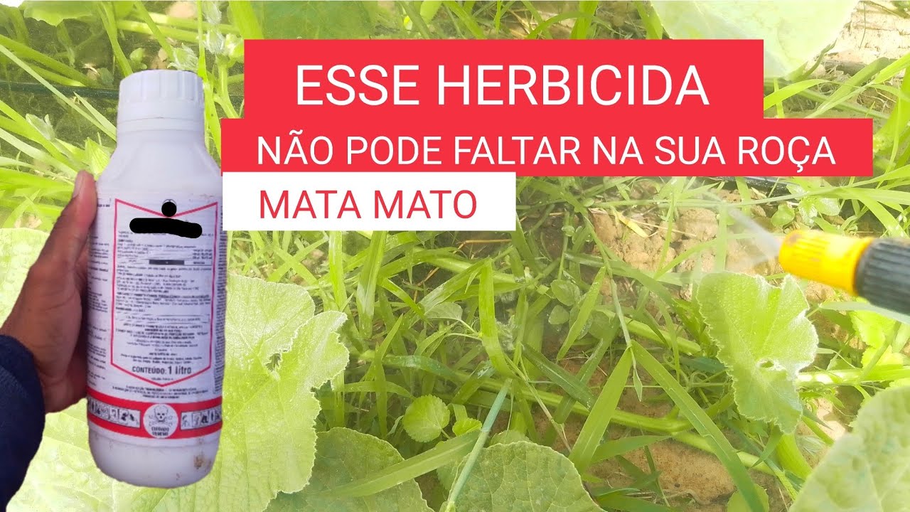 Esse herbicida não pode falta na sua roça