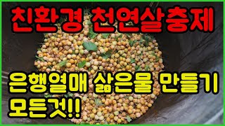 친환경 살충제 은행삶은물 살충제 만들기의 모든것/은행살충제 만들기