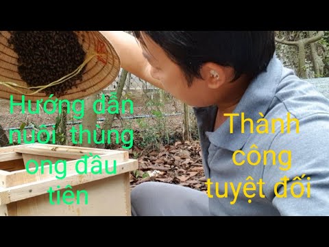 , title : 'Hướng dẫn cho người mới nuôi ong- Nuôi thùng ong đầu tiên phải làm những gì?'