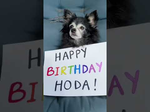 Happy Birthday Hoda! ❤️🎉 #puppysongs #cutedog