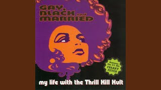 Music video thumbnail preview for One Nite Stand by My Life With the Thrill Kill Kult