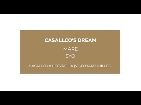 Casallco’s Dream
