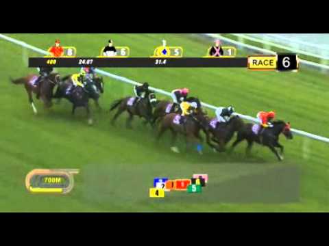 Group 3 Garden City Trophy - Emperor Max