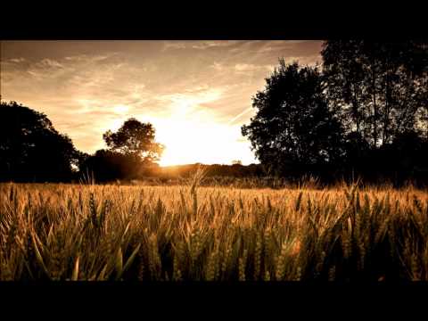 Amphix feat. Krishan Tanna - Sundancer (Nu Venture Records)