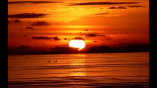 Jonas Hammar - Nothing Really Matters