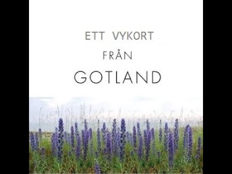 Fridelina - Lycklig ft. Familjen Forsström, Live