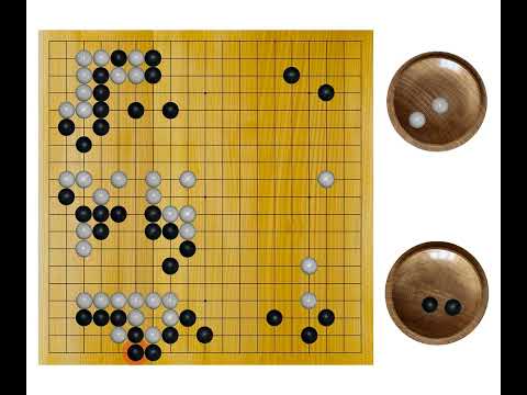 Fujisawa Hosai(9p) - Sugiuchi Masao(9p), 1960-09-28, 5th Hayago Meijin, Result: B+R