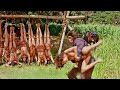 Bandar Insano Ko Control Kar Rahe Hain Planet Of The Apes Explained Hindi Urdu