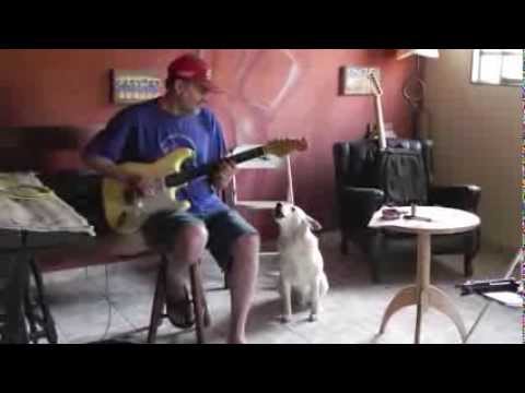 Maurício Moraes e Chico Blues