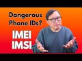 Misconceptions About IMEI And IMSI Are These Phone Identifiers Destroying Our Privacy