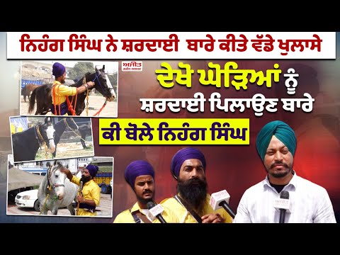 ਨਿਹੰਗ ਸਿੰਘ ਨੇ ਸ਼ਰਦਾਈ ਬਾਰੇ ਕੀਤੇ ਵੱਡੇ ਖੁਲਾਸੇ , ਦੇਖੋ ਘੋੜਿਆਂ ਨੂੰ ਸ਼ਰਦਾਈ ਪਿਲਾਉਣ ਬਾਰੇ ਕੀ ਬੋਲੇ ਨਿਹੰਗ ਸਿੰਘ