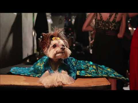 Behind The Scenes at Anthony Rubio LAFW Runway Plus Red Carpet