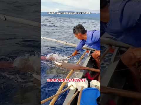 When the Angry SQUID Decides to fight back #fishing #viral #fish #squids #squid