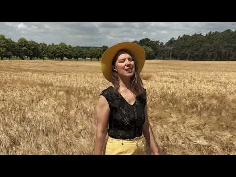 Erich Weinert Studioband - Ferienidyll (official video)