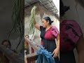 Vlog Sayur Begini Ketawanya Ibu Ibu Beli Sayur