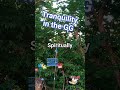 #theothersideofmakebelieve. in the ghetto garden... #nature