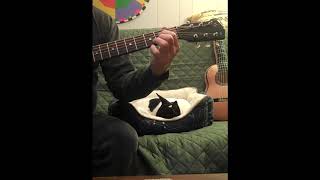 "Burn On" Randy Newman guitar by Jim Moran