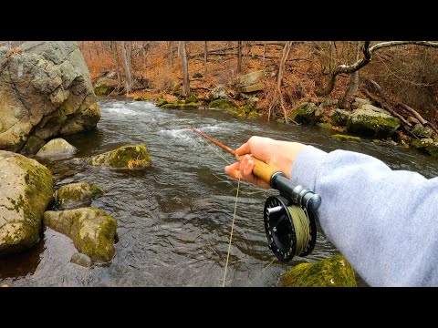 WINTER STREAMER FISHING! (Why you should trout fish in the winter)
