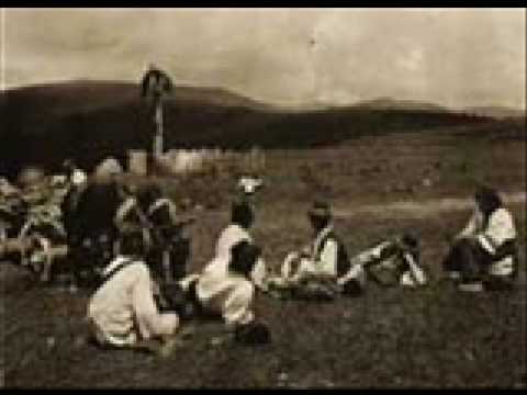 Românească rară şi Învârtita / Two melodies for dance from Transylvanian Plain