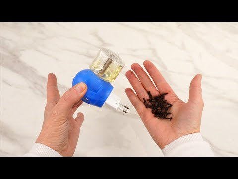 Put THIS in empty Raid electric diffuser. Have mosquito repellent for pennies