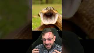 Essa cobra é braba: a Boipeva #biologohenrique #animais #bichoesperto #biologo