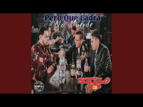 Perro Que Ladra No Muerde