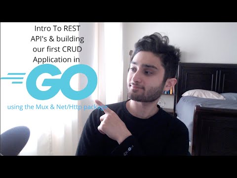 Rest API's with Golang Mux (Building a CRUD Backend)