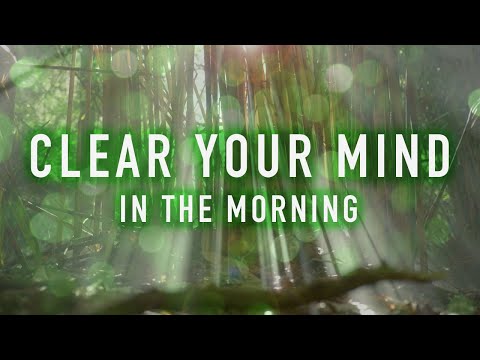 Clear Your Mind in the Morning - A Guided Mindfulness Meditation (8 minutes)