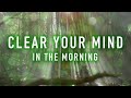 Clear Your Mind in the Morning - A Guided Mindfulness Meditation (8 minutes) - MindfulPeace Clear Your Mind in the Morning - A Guided Mindfulness Meditation (8 minutes)