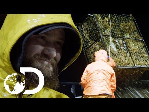ノースウェスタンチームが驚異的な量のタラバガニを捕獲｜NEW Deadliest Catch (Northwestern Team Capture Staggering Amount Of King Crab | NEW Deadliest Catch)