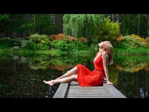 Zeitfall & Blut Own - Tranquil