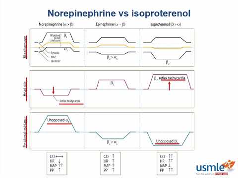 Norepinephrine vs Isoproterenol   A T F
