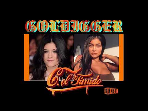 C. EL TIMIDO - GOLDIGGER