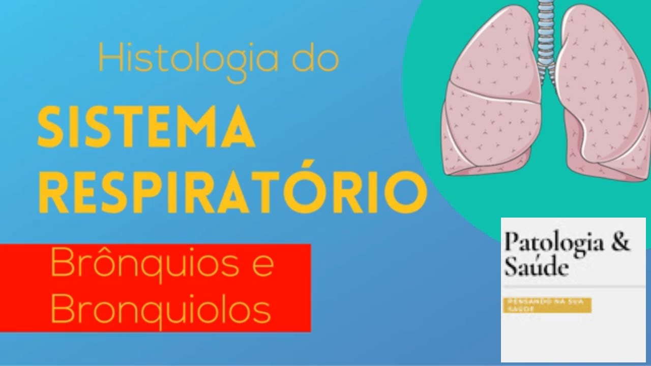 Histologia do Sistema Respiratório - Brônquios e Bronquíolos