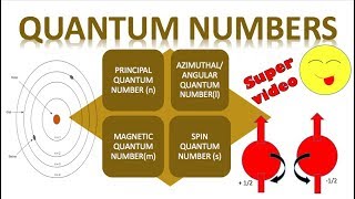 Quantum Numbers Chemistry Class 11 | Tricks😋 |  Principal ,Azimuthal, Magnetic  and Spin  Quantum