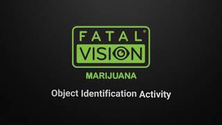 Fatal Vision Marijuana Impairment Goggles - Object Identification Activity