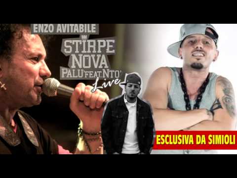 ESCLUSIVA DA SIMIOLI!!! - STIRPE NOVA Live - AVITABILE, NTO, PALU' -