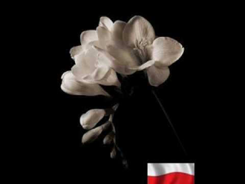 Polska- Właśnie tu się urodziłem