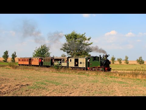 Wilder Robert mit IK-Zug und IVK mit GmP - Döllnitzbahn