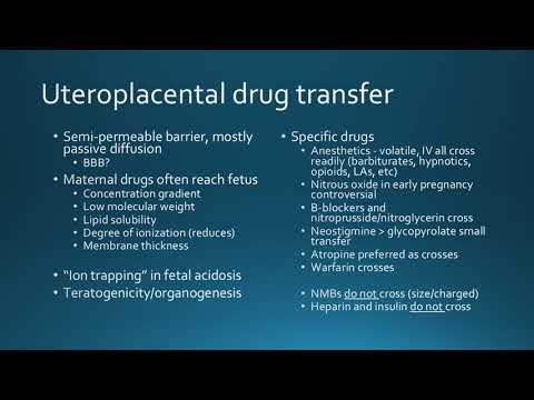 Neuroanesthesia and Pregnancy