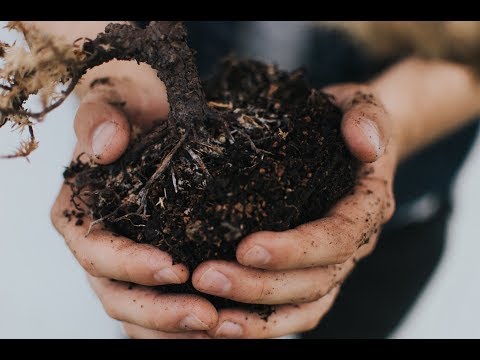 MAYDAY MAYDAY EARTH (S.O.S TERRE)